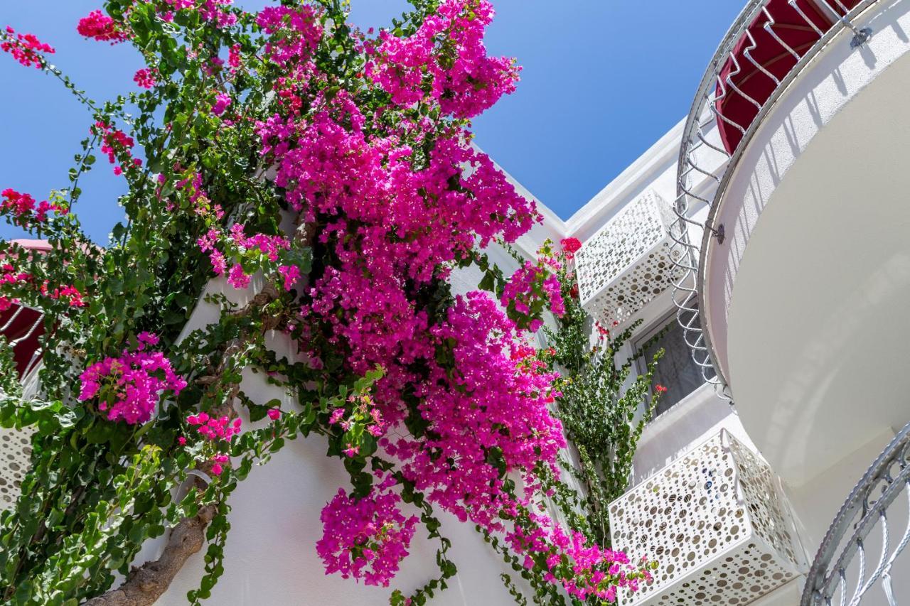 La Brezza Suite & Hotel Akyarlar Ngoại thất bức ảnh